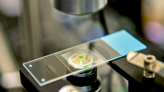 A Laser Has Been Used To Chill Water For the First Time Ever